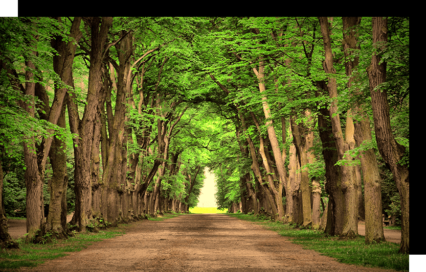 MKN belives in Nature